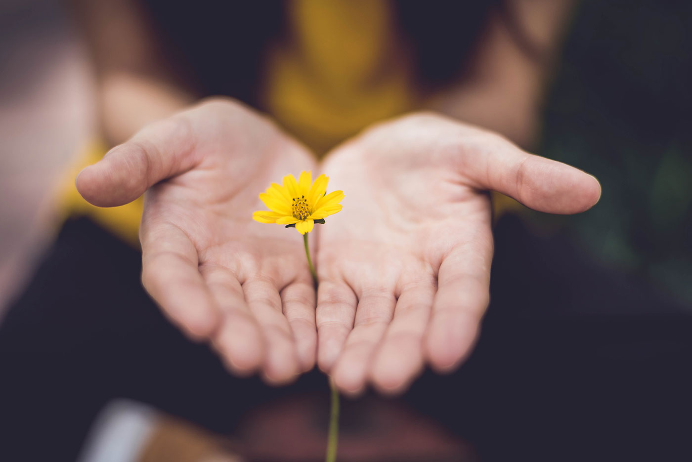 Lina Trochez KtPKyUs3Qjs Unsplash