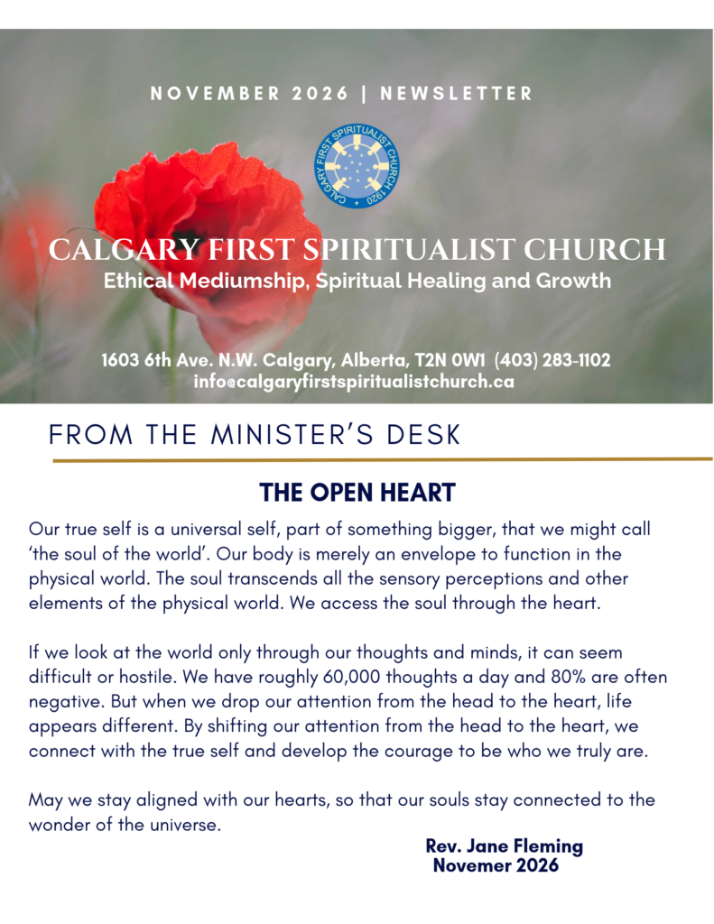 november 2026 newsletter email 1